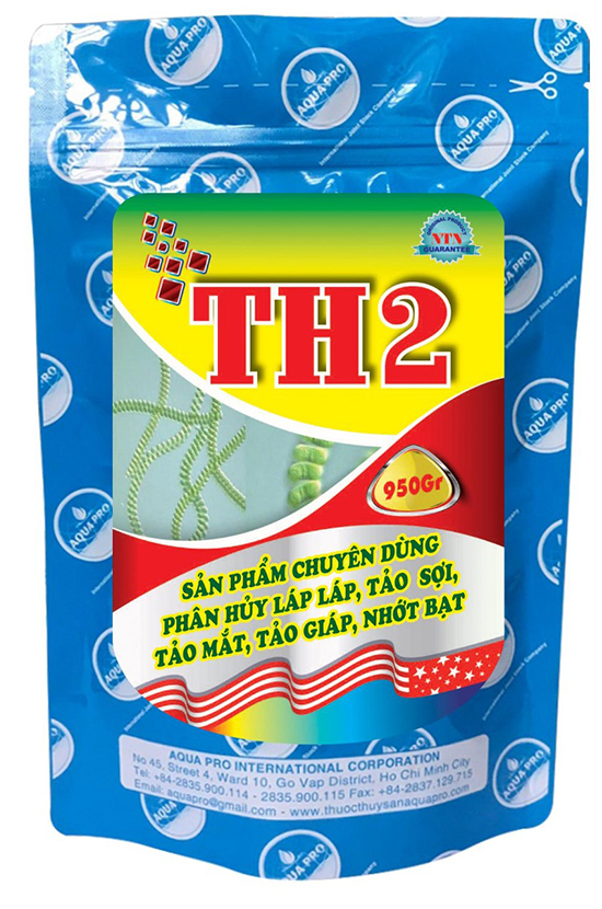 TH2 (NTN)